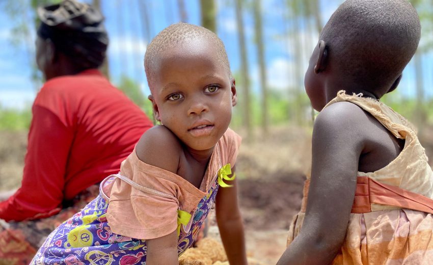 iPhone vs DSLR: A Modern Take